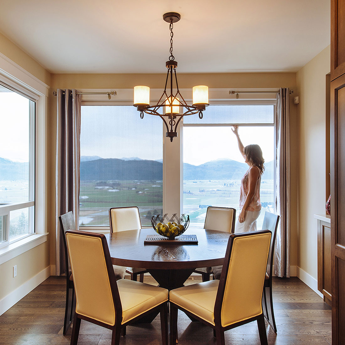 Retractable window screens on a dining room window.